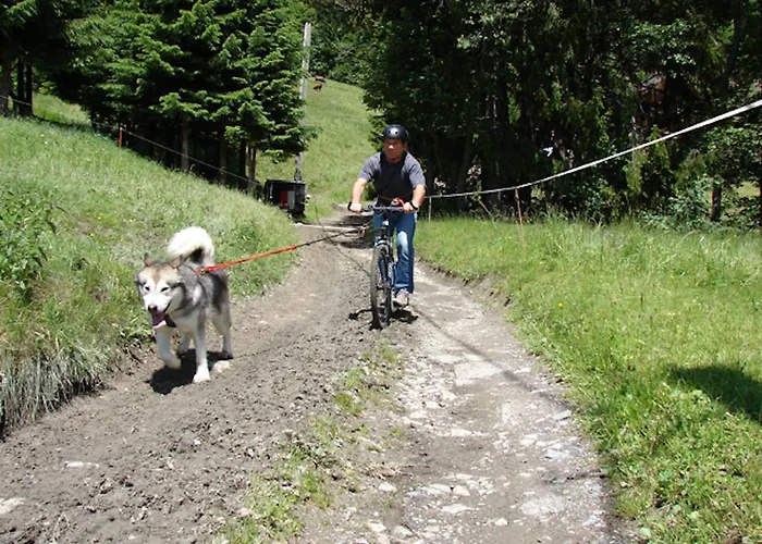 L'attrape Coeur Apartmán Megève
