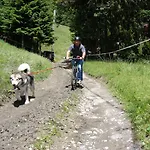 L'attrape Coeur Appartement Megève